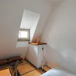 Quadruplex Authentique, Face Cathedrale Apartamento Estrasburgo
